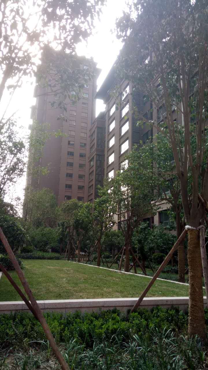 交房实景图